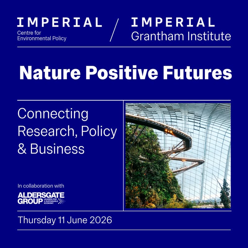 Cover Image for Nature Positive Futures: Connecting Research, Policy and Business
