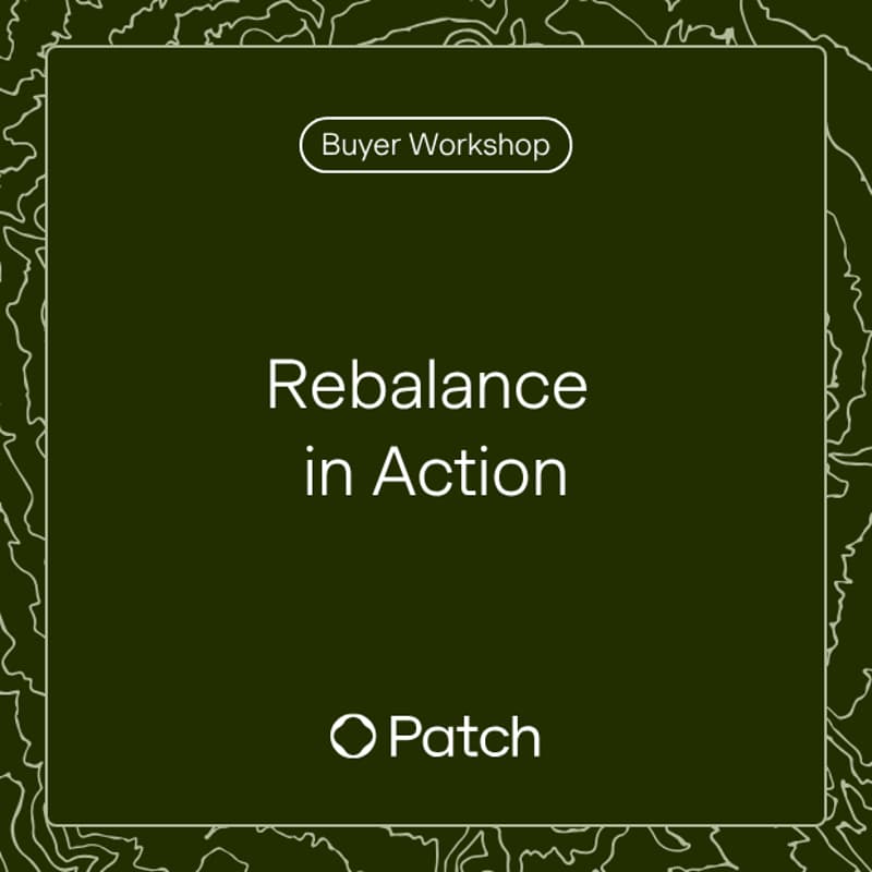 Cover Image for Rebalance in Action