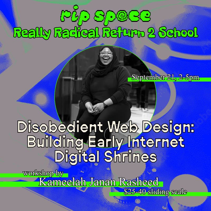 Cover Image for Disobedient Web Design: Building Early Internet Digital Shrines