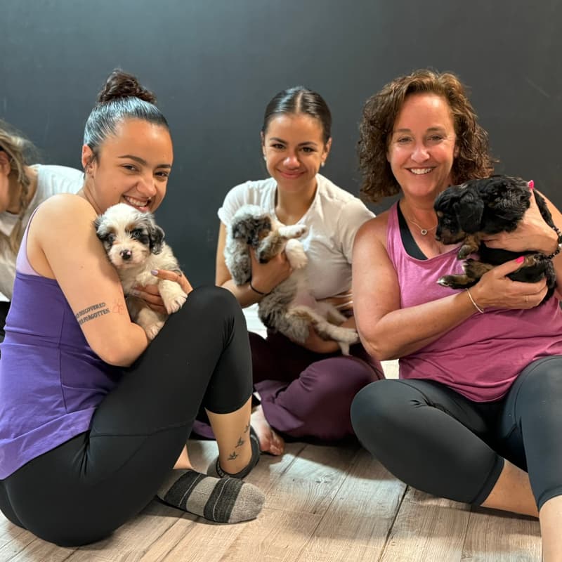 Cover Image for AfroPuppyYoga -📍Kitchener -🐶bordoodles