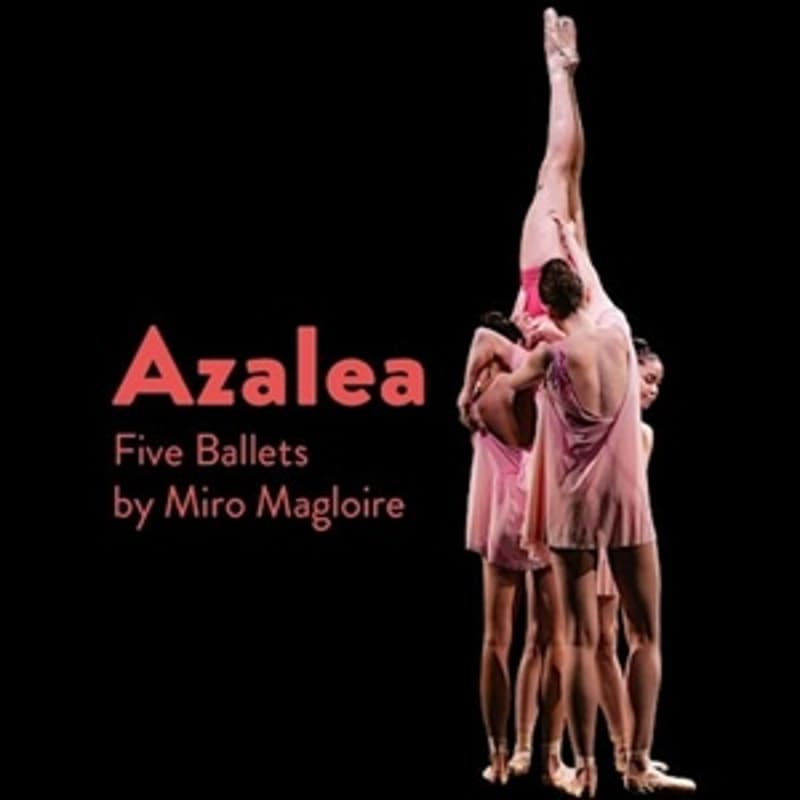 Cover Image for The Art of Music & Movement: Azalea by New Chamber Ballet