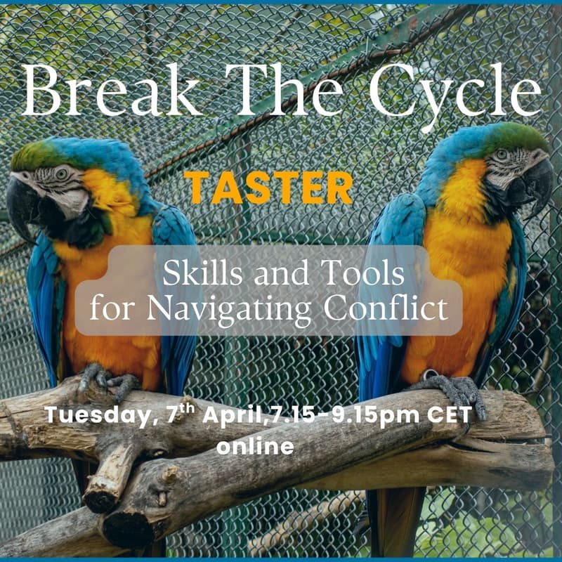 Cover Image for Taster Event: Break The Cycle. Skills and Tools for Navigating Conflict