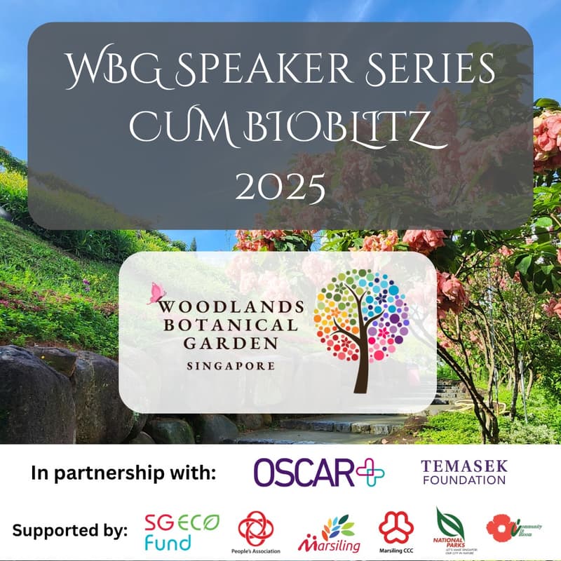 Cover Image for WBG Speaker Series and BioBlitz at Woodlands Botanical Garden: January Edition