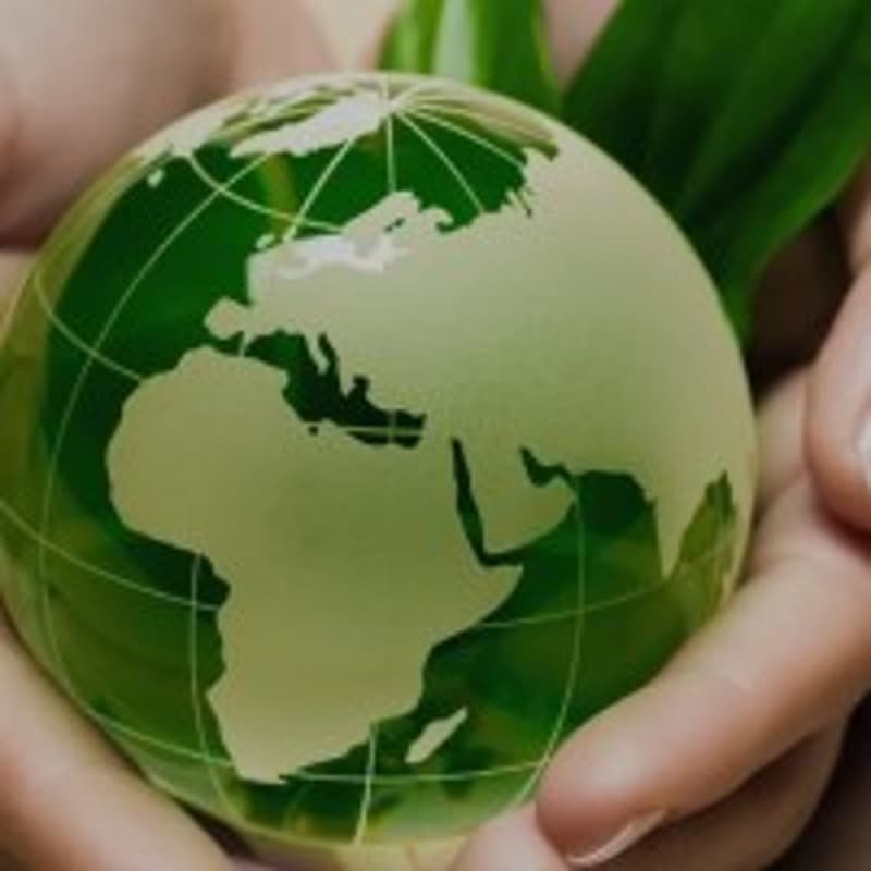 Cover Image for The future of education isn’t artificial intelligence, it’s authentic intelligence, supported by AI