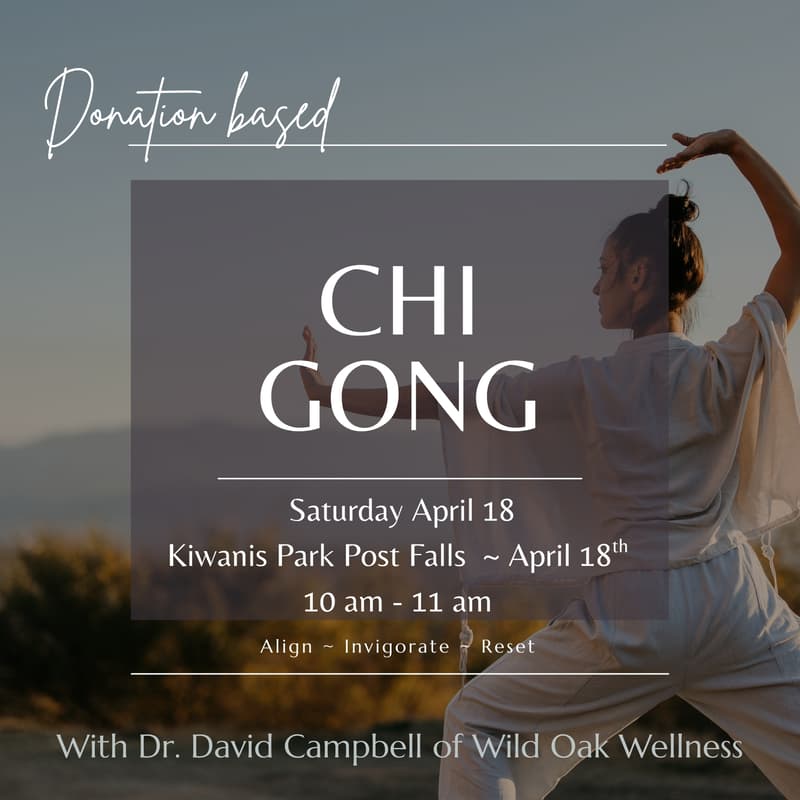 Cover Image for 3rd Saturday Chi Gong