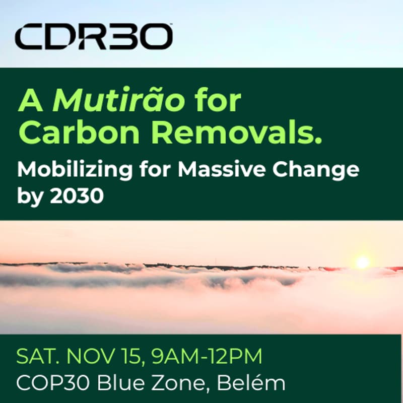 Cover Image for A Mutirão for Carbon Removals: Mobilizing for Massive Change by 2030