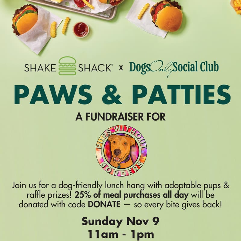 Cover Image for Paws & Patties
