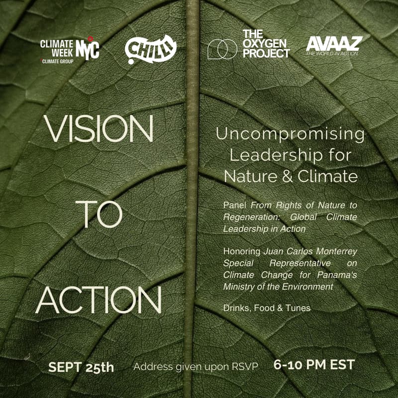 Cover Image for Vision to Action: Uncompromising Leadership for Nature & Climate