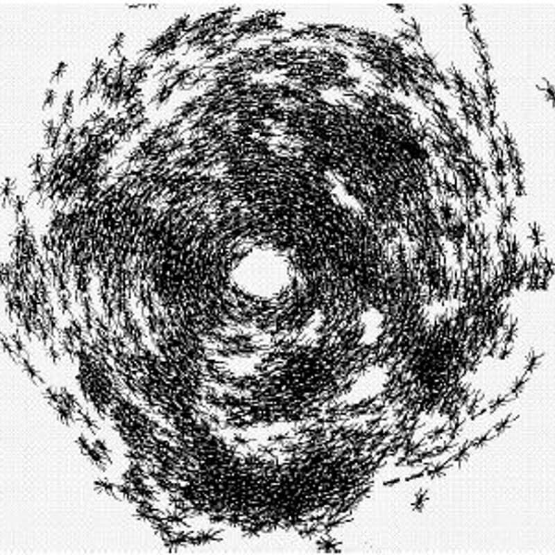 Cover Image for Waterloo Robot Learning Reading Group - Swarm Robotics / MARL (Week 4)