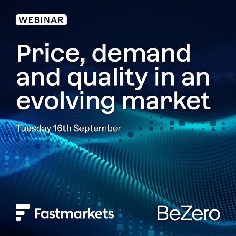 Cover Image for Price, demand and quality in an evolving market
