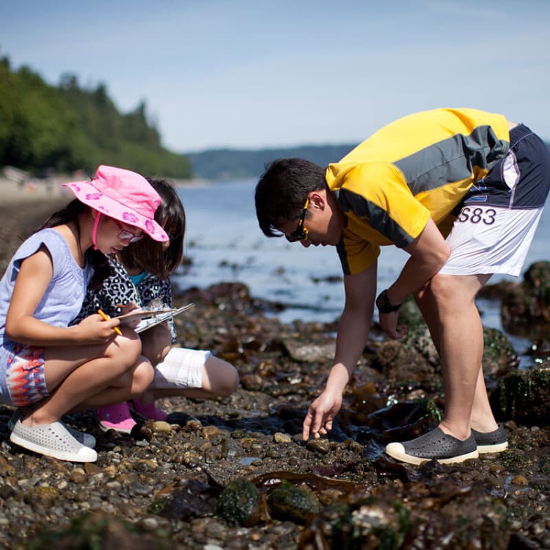 Cover Image for Explore the Shore