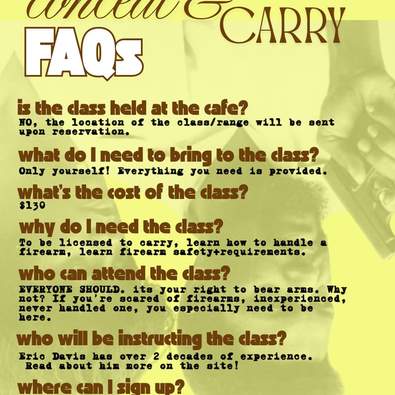 Cover Image for Firearm safety/Conceal carry