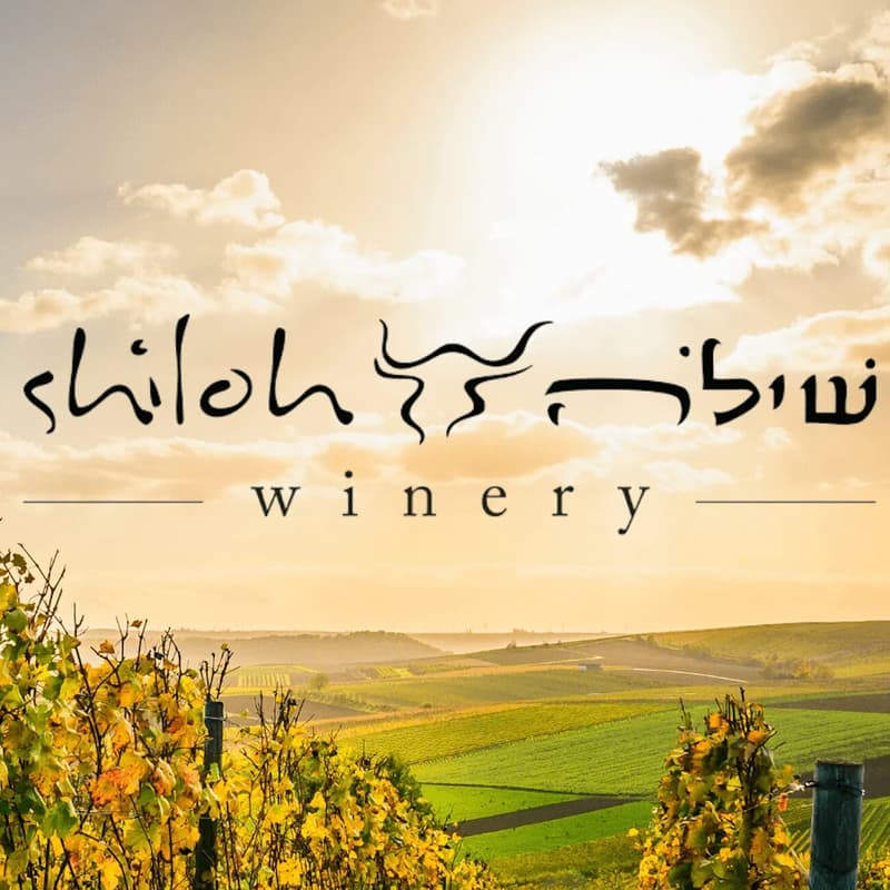 Cover Image for Postponed Chefs' Night/Knives Out - Shiloh Winery