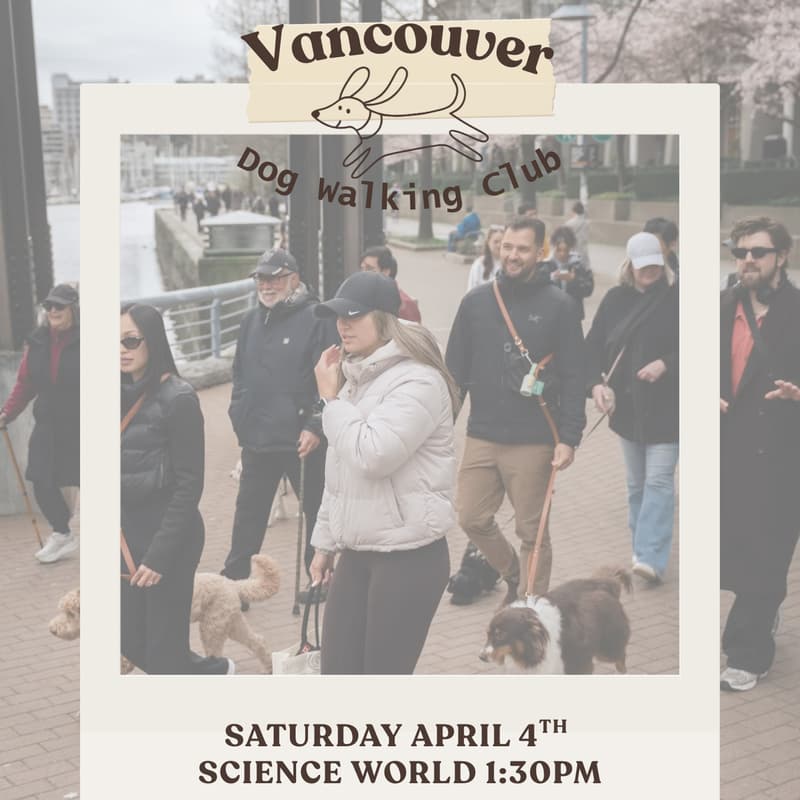 Cover Image for Dog Walk: Stroll & Social