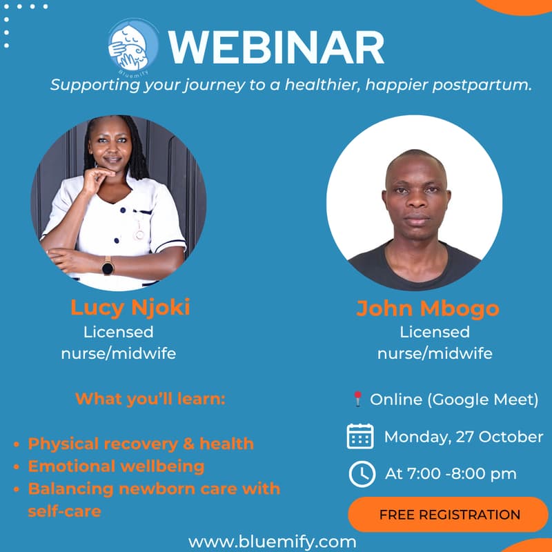 Cover Image for Supporting Mothers Beyond Birth