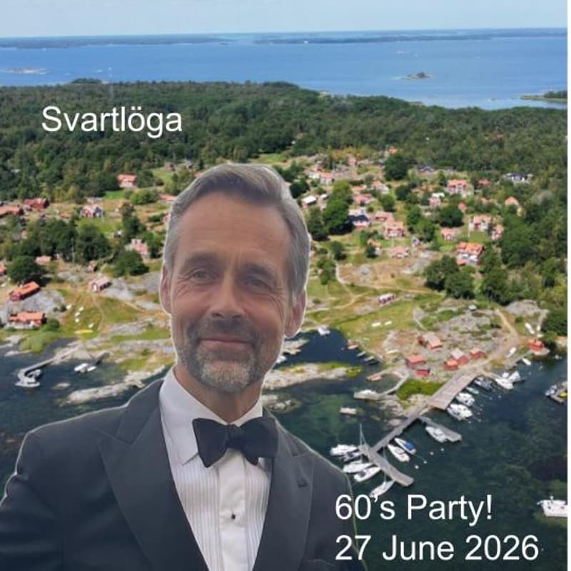 Cover Image for Niclas 60's Party