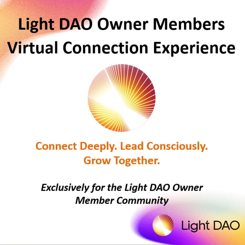 Cover Image for Light DAO Owners' Virtual Connection Experience