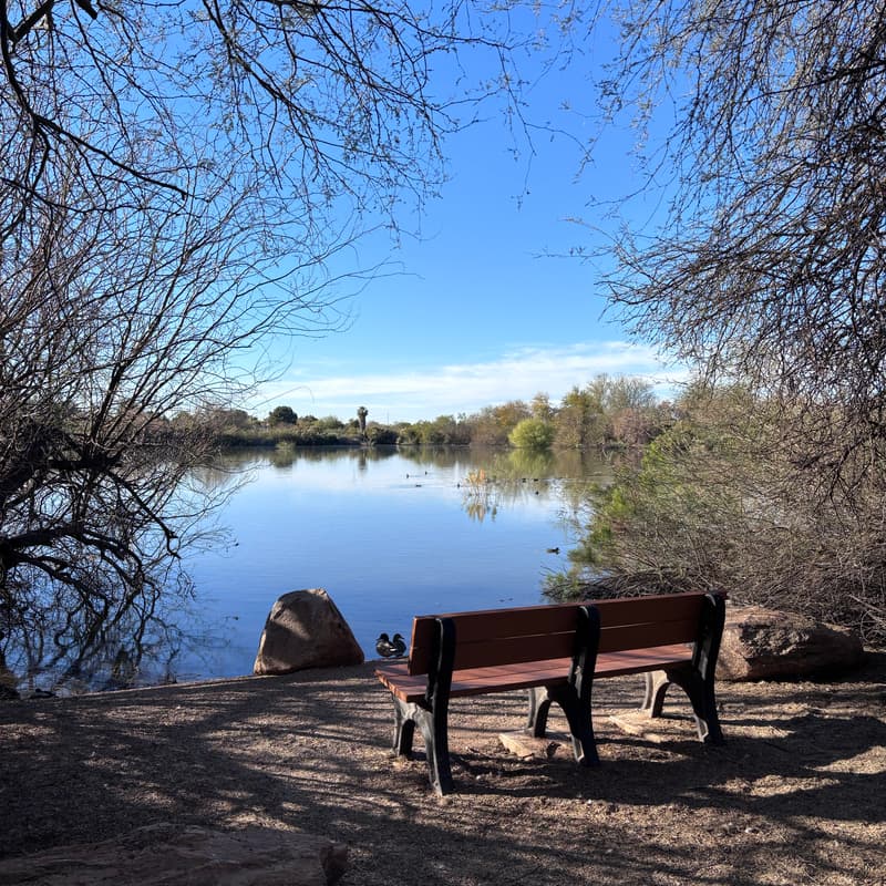 Cover Image for Sunset  Walk – Gilbert Riparian Preserve
