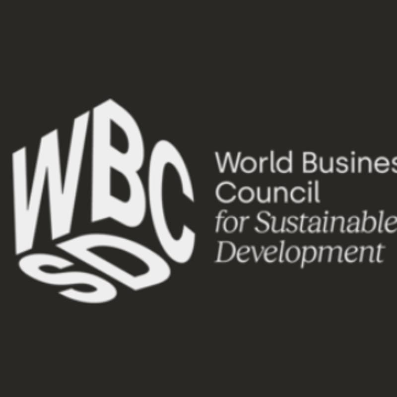 Cover Image for WBCSD LEAP Networking Dinner