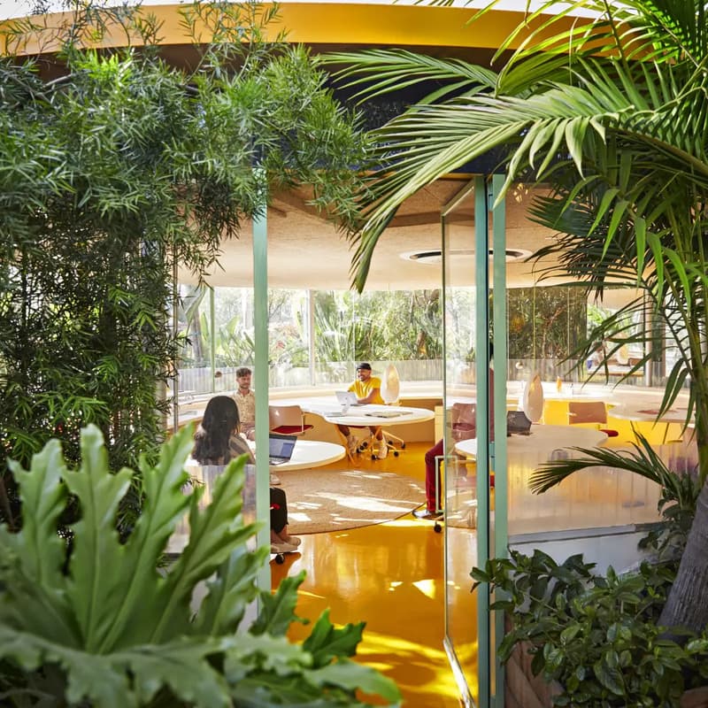 Cover Image for Field Trip LA: Coffee + Co-Work