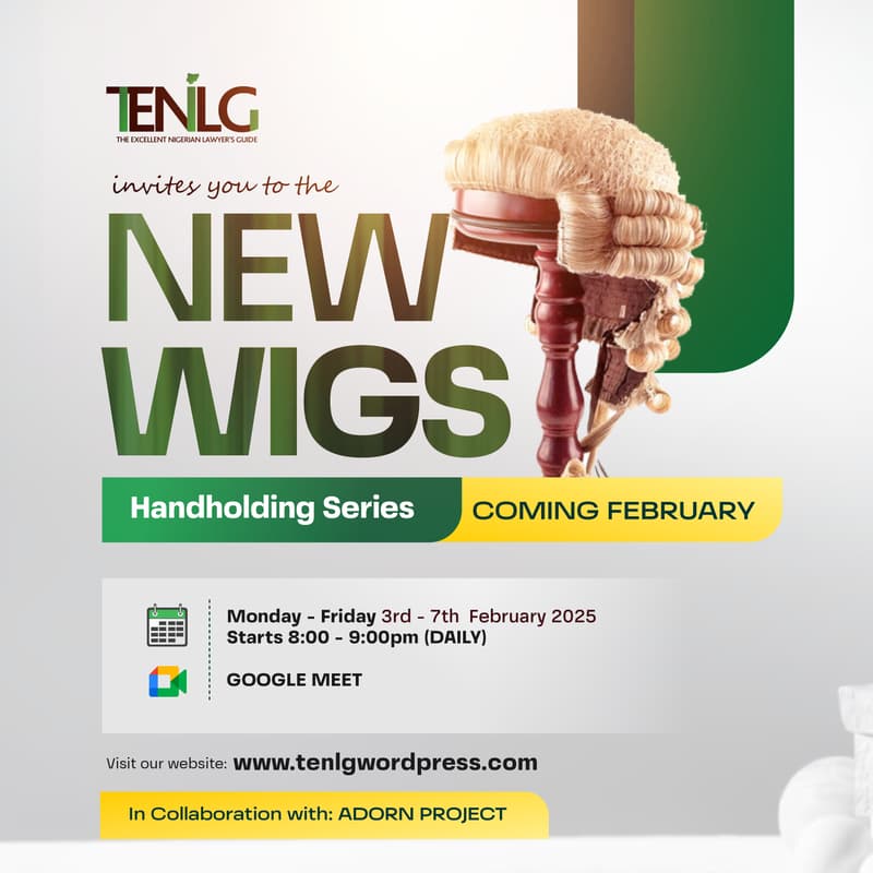 Cover Image for NEW WIGS:Handholding Series