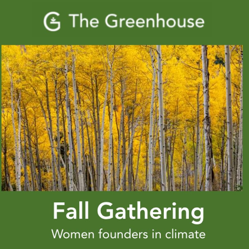 Cover Image for 🌿 Greenhouse Gathering: Rooted in Growth