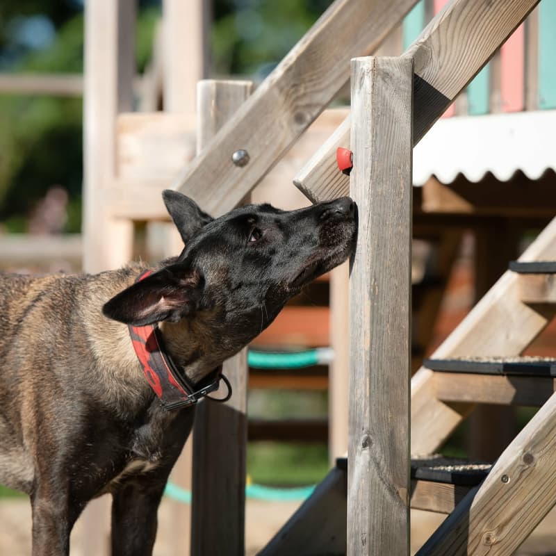 Cover Image for Stage multi activité (Demi journée)