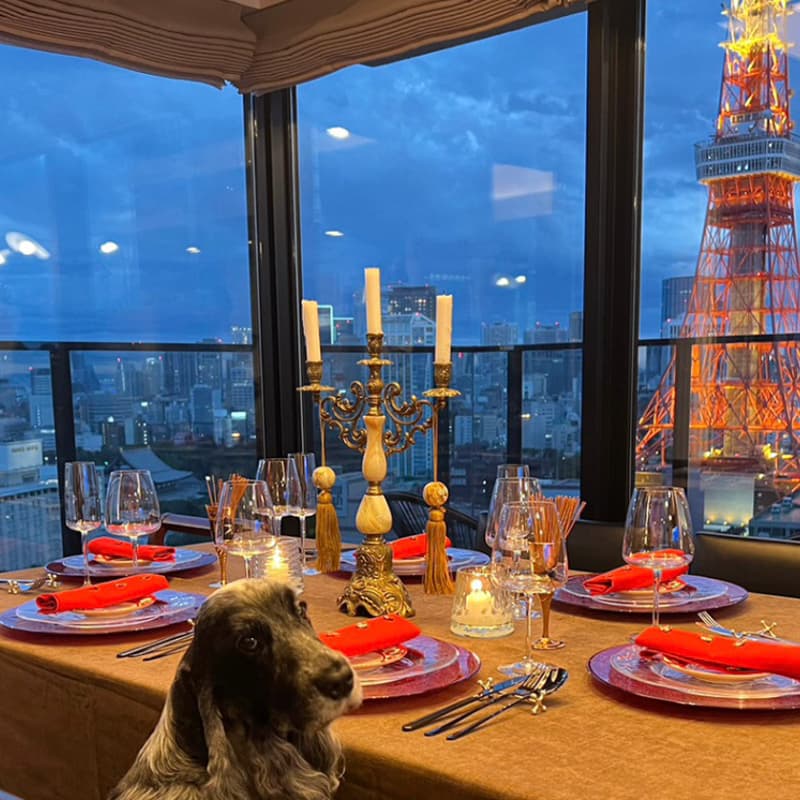 Cover Image for Long Angle Tokyo Spring Lunch Meetup