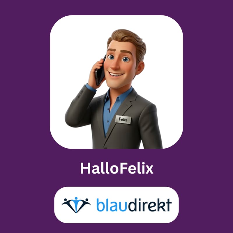 Cover Image for Die KI Bürokraft HalloFelix zusammen der AMEISE effektiv einsetzen