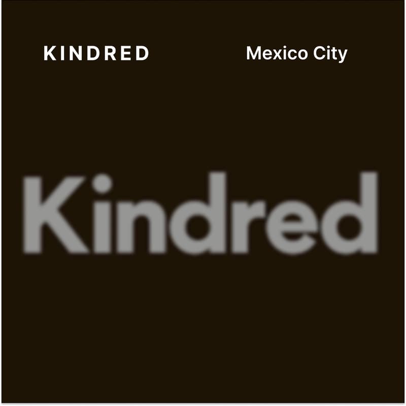 Cover Image for Kindred CDMX: An Evening at Brocante Terraza