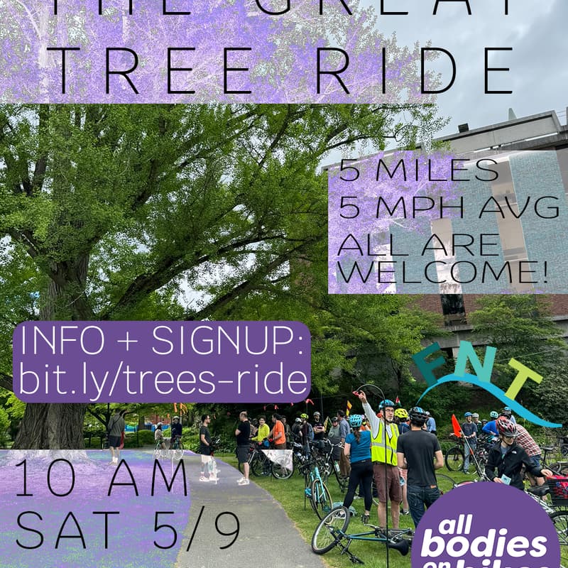 Cover Image for The Great Tree Ride