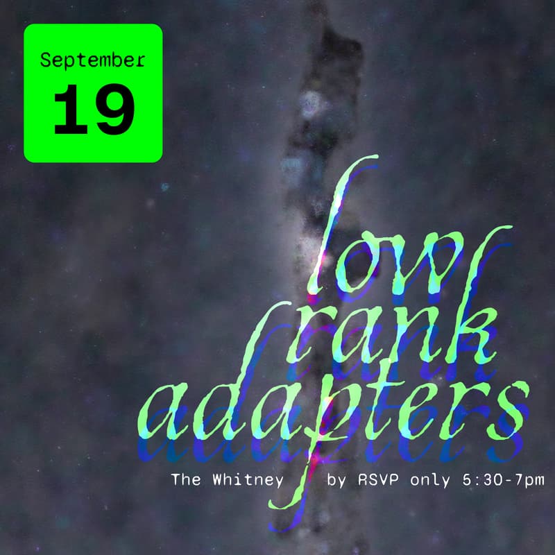 Cover Image for low rank adapters: AI Art Walk