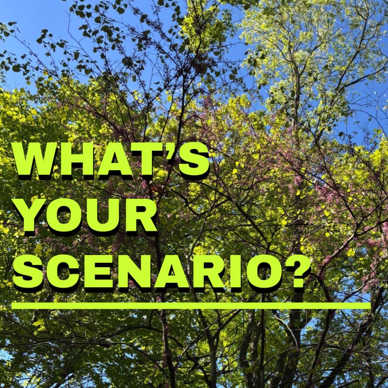 Cover Image for What's Your Scenario?