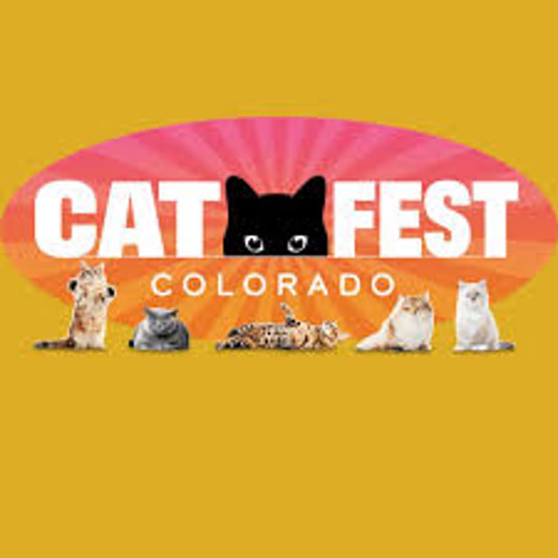 Cover Image for 🐾 Girls’ Day Out at Cat Fest Colorado! 🐾