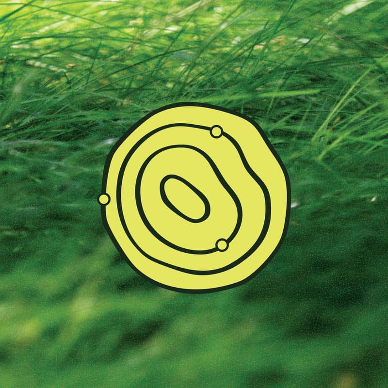 Cover Image for Round 01 ~ Grantee Reporting