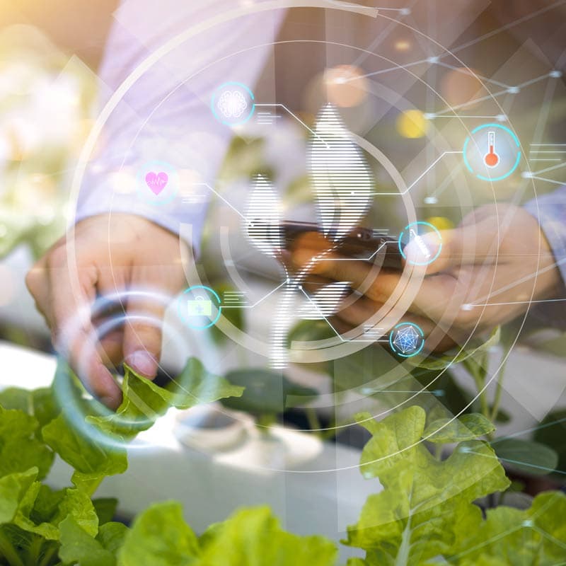 Cover Image for Foodtech: The Future of Food (public event)