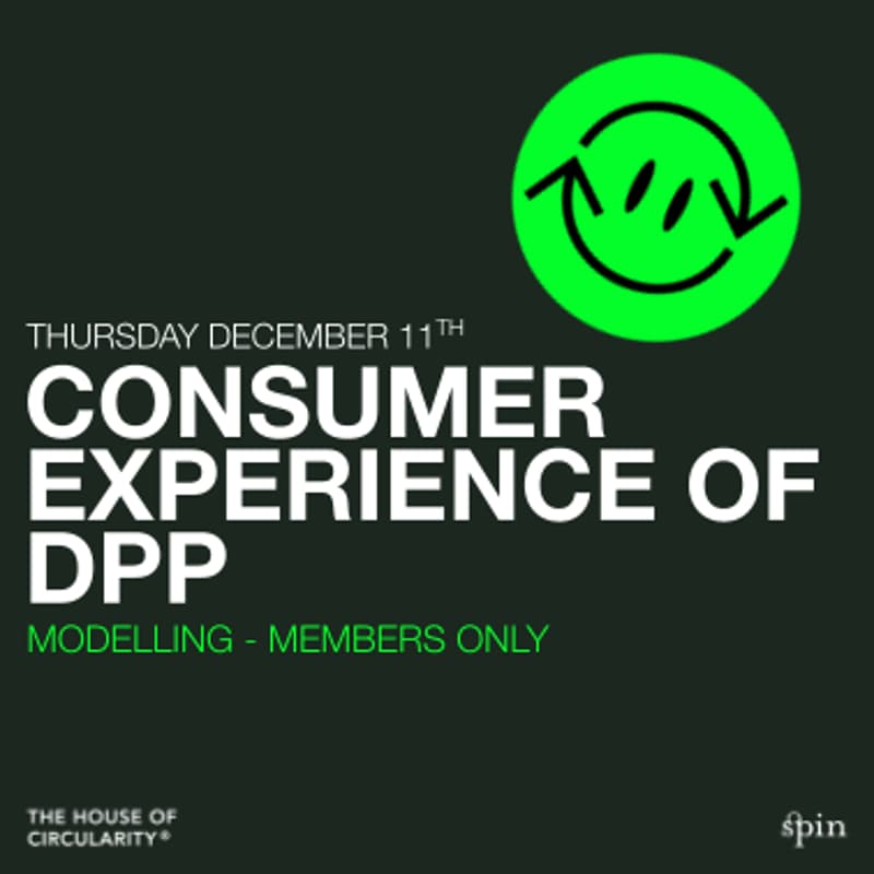 Cover Image for The Consumer Experience of DPP - Modelling