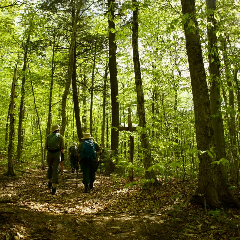 Cover Image for Equinox Walk - Central Massachusetts