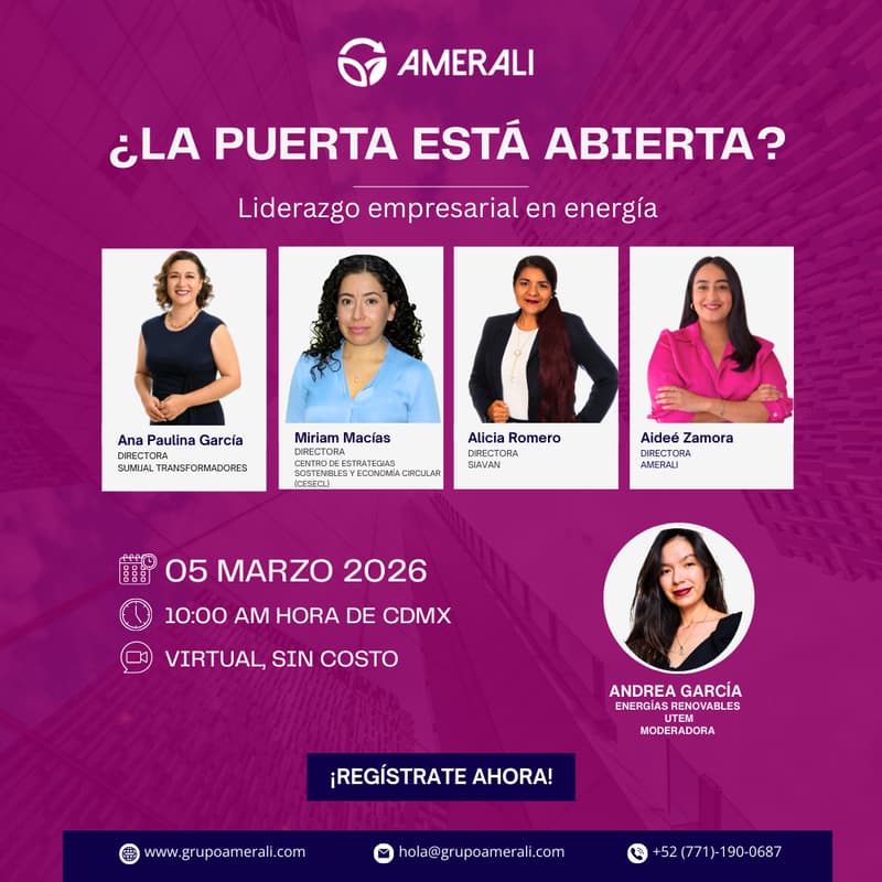 Cover Image for ¿La puerta está abierta? Liderazgo empresarial en energía