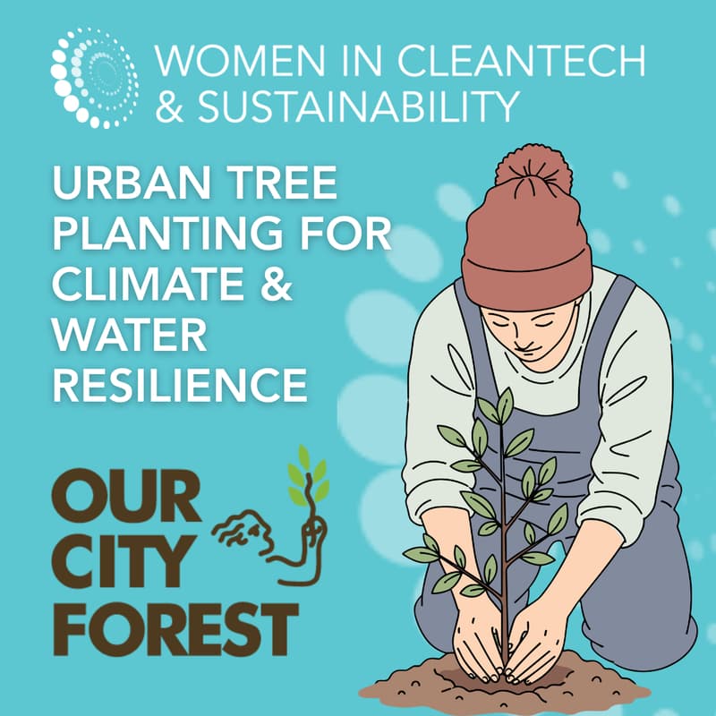 Cover Image for Rooted in Change: Urban Tree Planting with Our City Forest