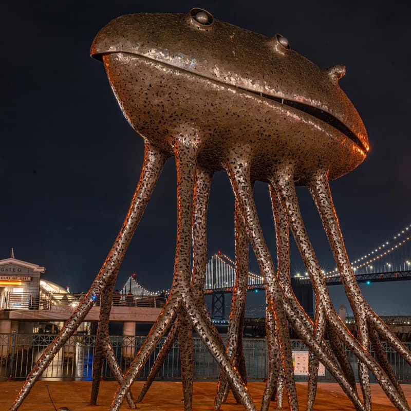 Cover Image for Celebrate the Bay Lights - Lite up the Nite!