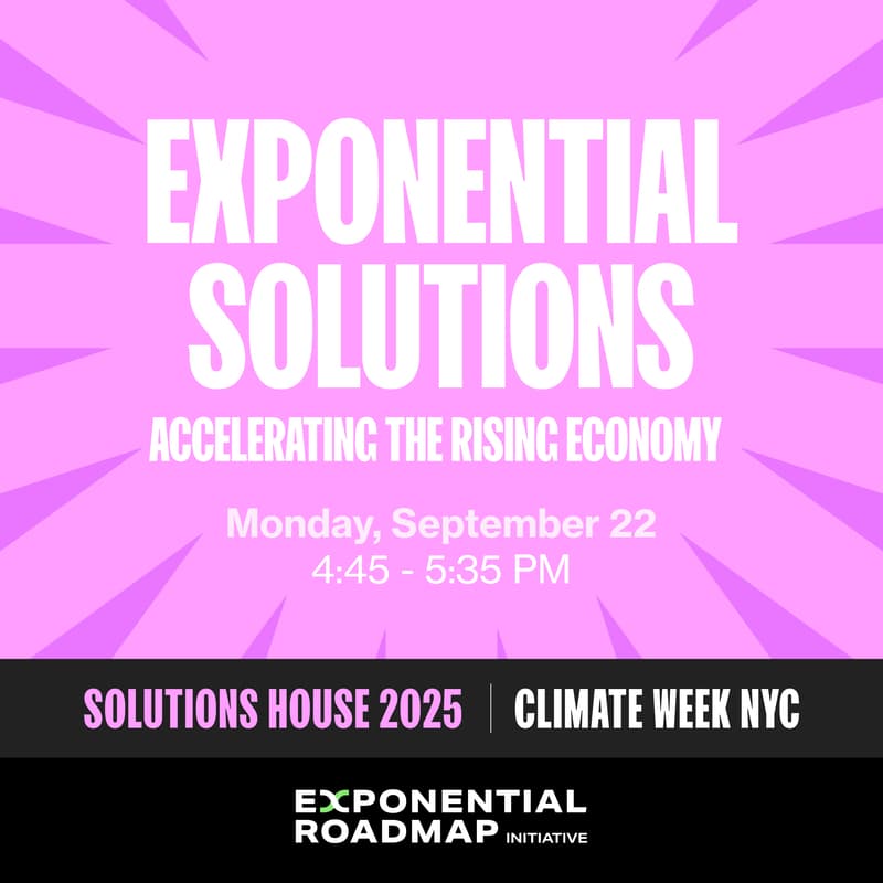 Cover Image for Exponential Solutions: Accelerating the rising economy