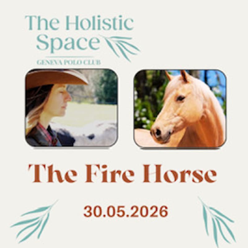 Cover Image for The fire Horse