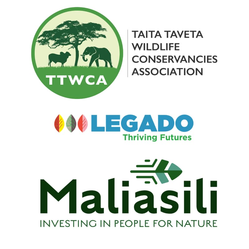 Cover Image for Rewriting the Rules of Conservation: Designing Better Collaborations, Not Just Projects