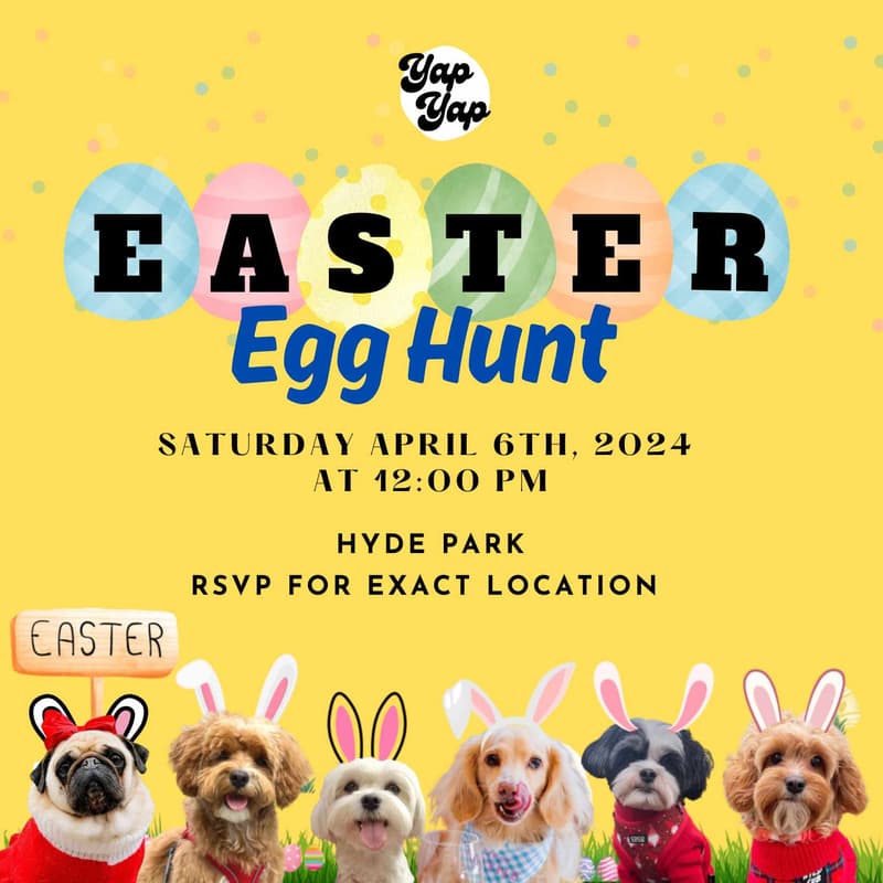Cover Image for Easter Hunt