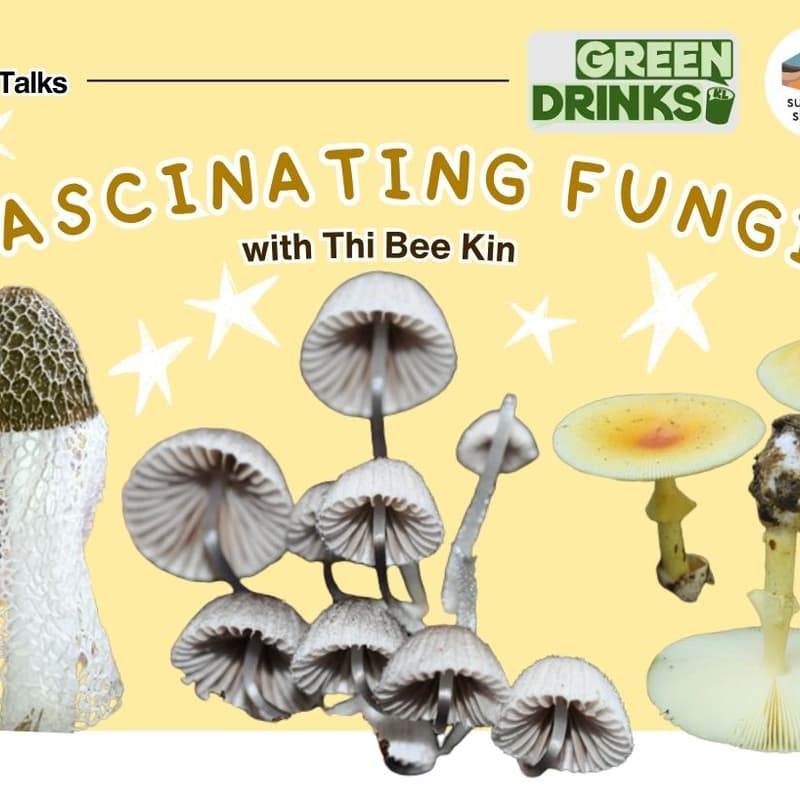 Cover Image for Fascinating Fungi: Talk + Video Screening