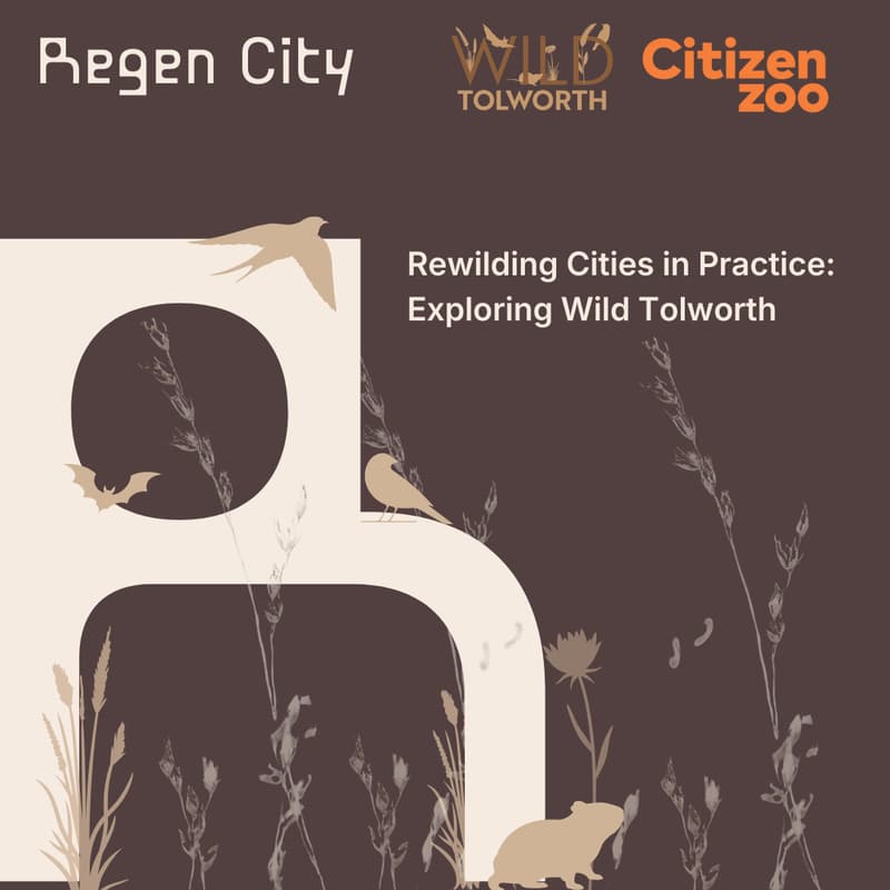 Cover Image for [Invite Only]Rewilding Cities: Exploring Wild Tolworth