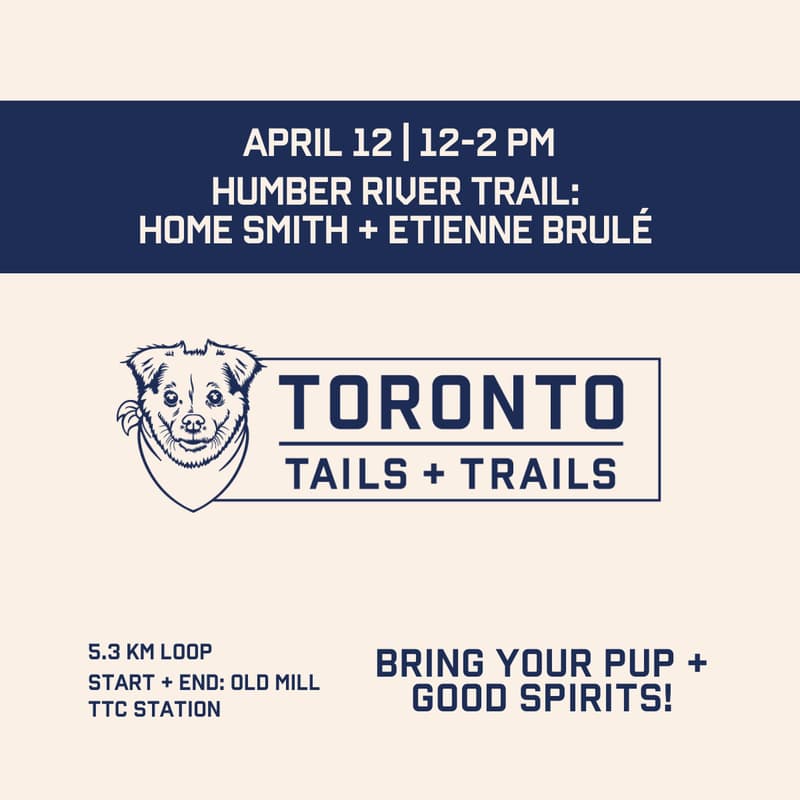 Cover Image for Humber River Pack Walk