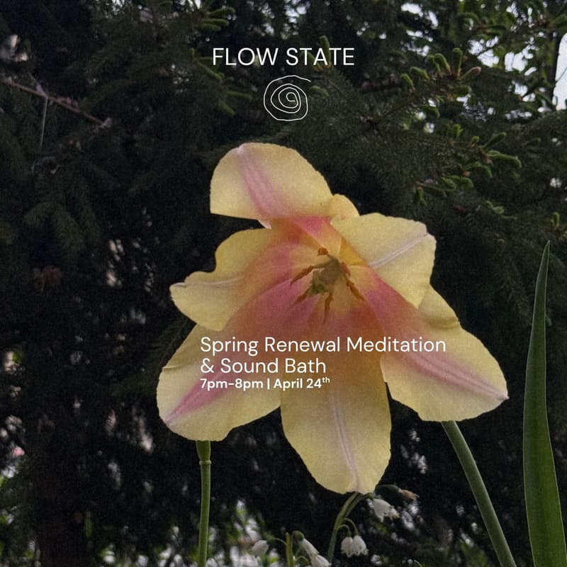Cover Image for Flow State: Spring Renewal Sound Bath & Meditation