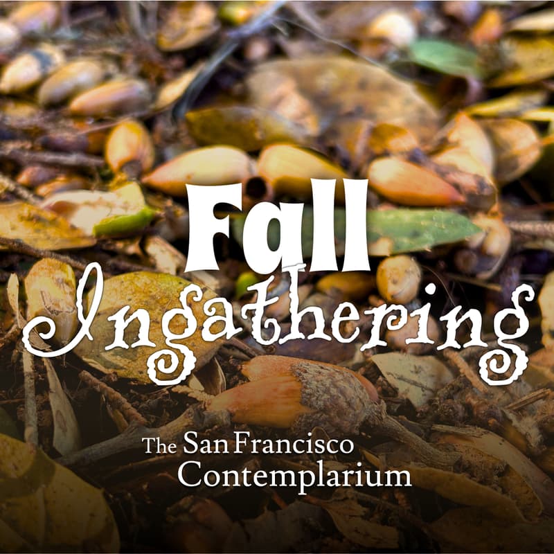 Cover Image for Contemplarium Fall Ingathering